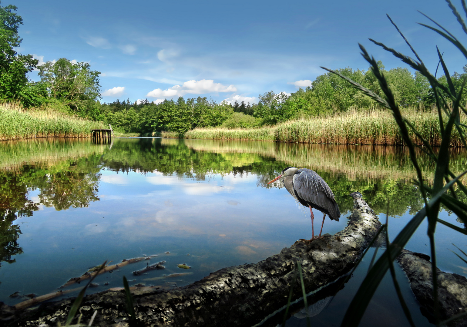 Helmshäger Soll, Angelsee, Kiesgrube Helmshagen bei Greifswald