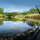 Helmshäger Soll, Angelsee, Kiesgrube Helmshagen bei Greifswald