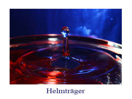 Helmträger