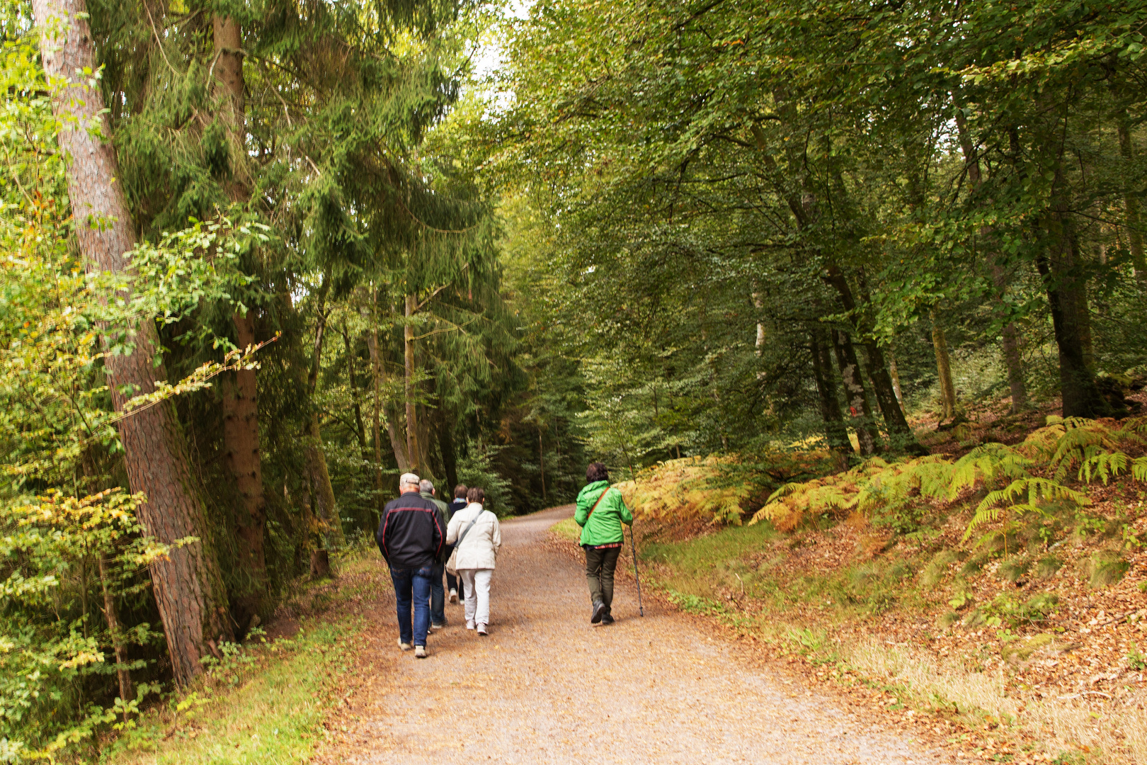 Helmut-Kohl-Wanderweg