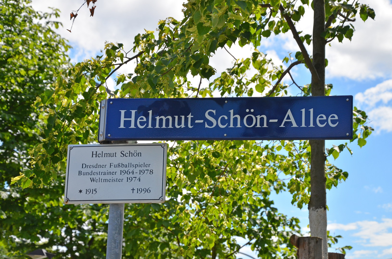 Helmut Schön Allee