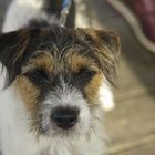User Profile Photo