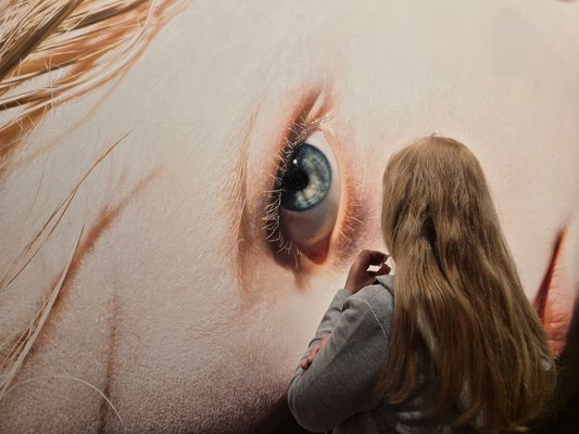 Helnwein: Kindskopf 14....verdeckt....