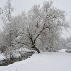 Helsinki, Haaga, Kauppalanpuisto