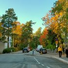 Helsinki, Haaga, the colors of autumn 2