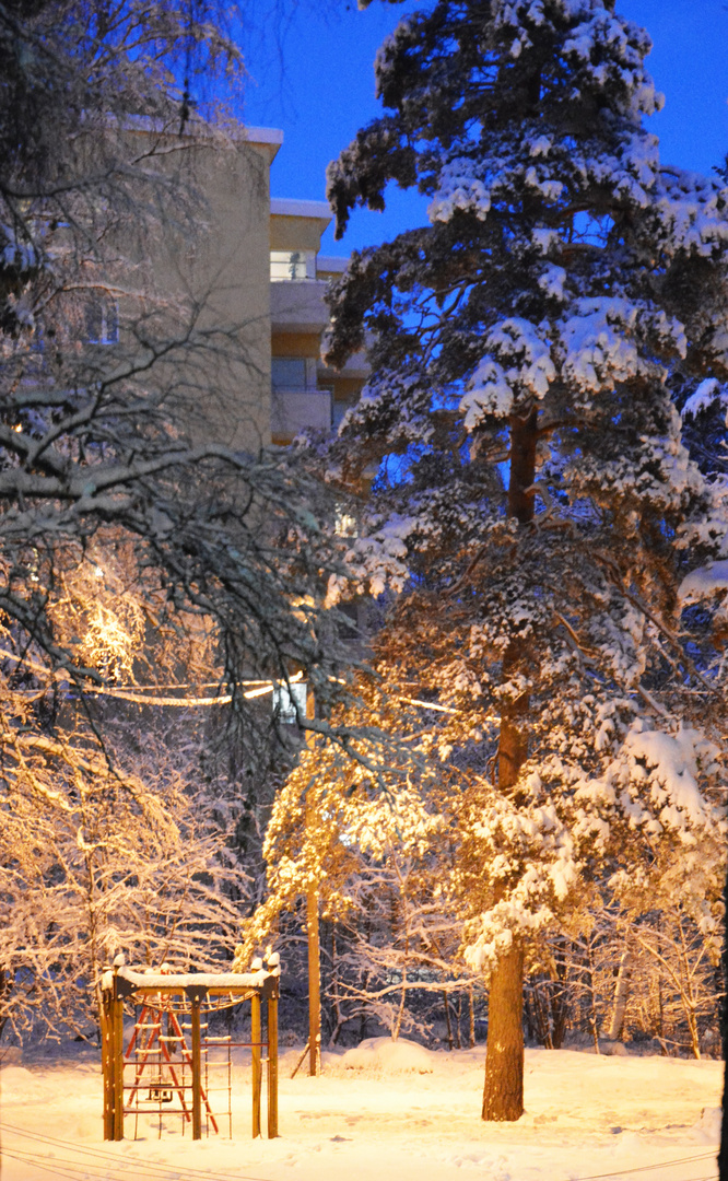 Helsinki, Haaga wintry park