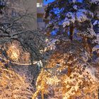 Helsinki, Haaga wintry park