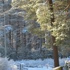 Helsinki, Haaga, Wintry park