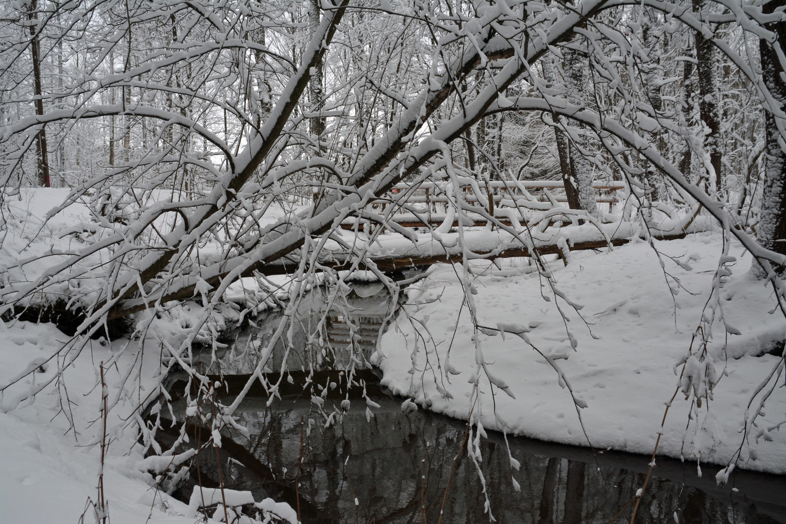 Helsinki, Haaganpuro