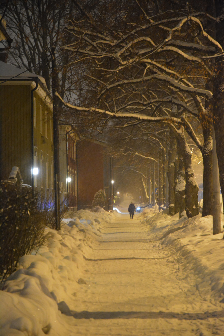 Helsinki, Käpylä, Walking way