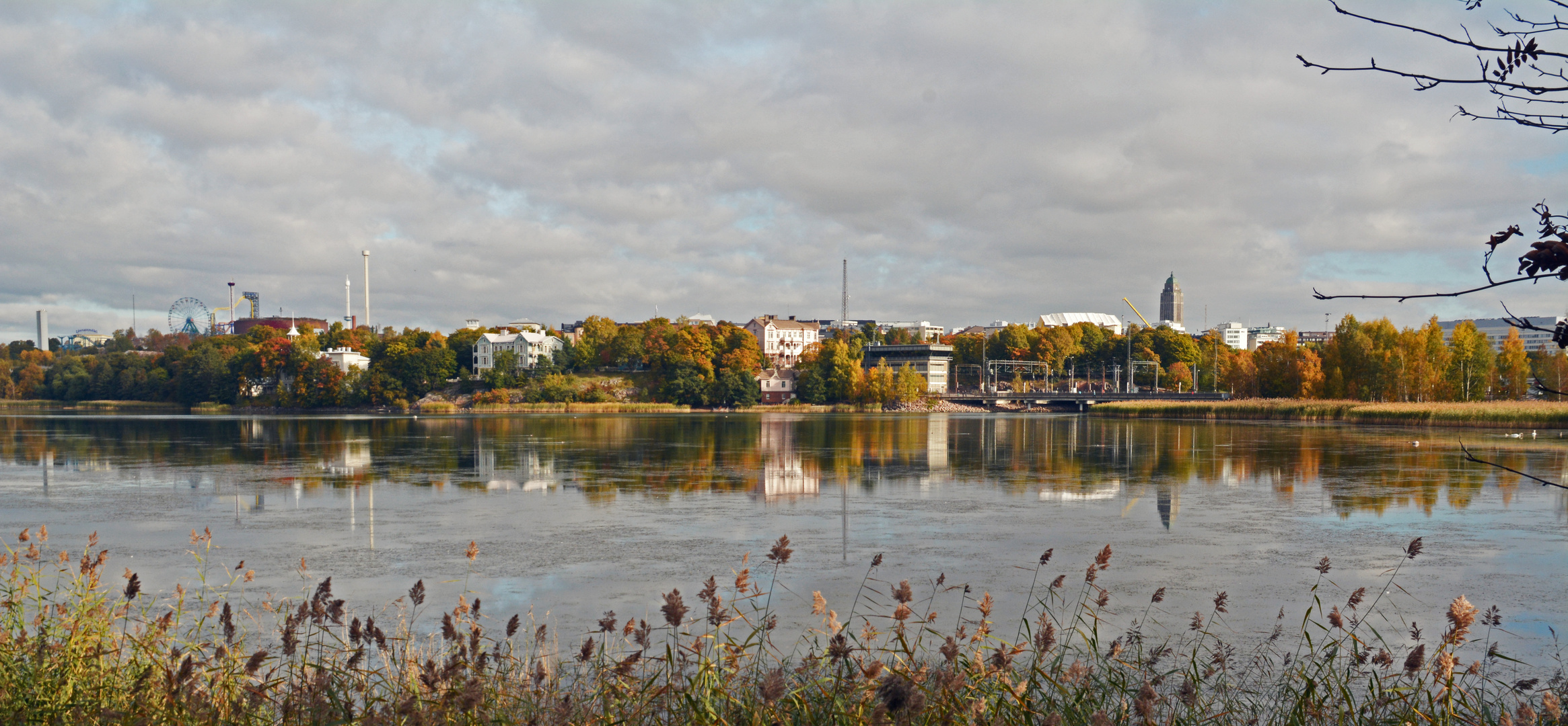 Helsinki, Linnunlaulu