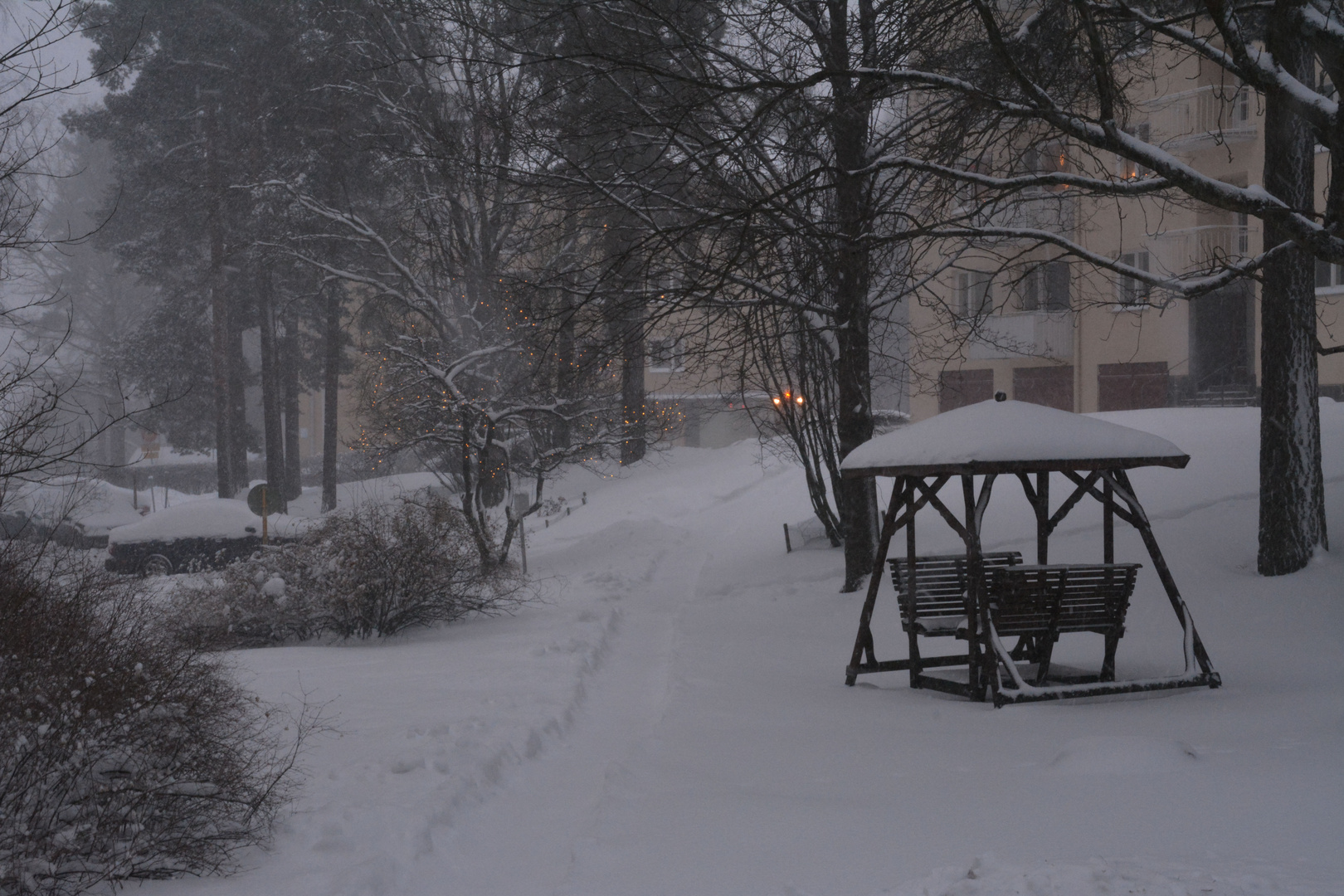 Helsinki, Our homeyard in this morning