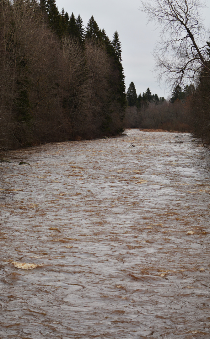 Helsinki, Pitkäkoski= long water force