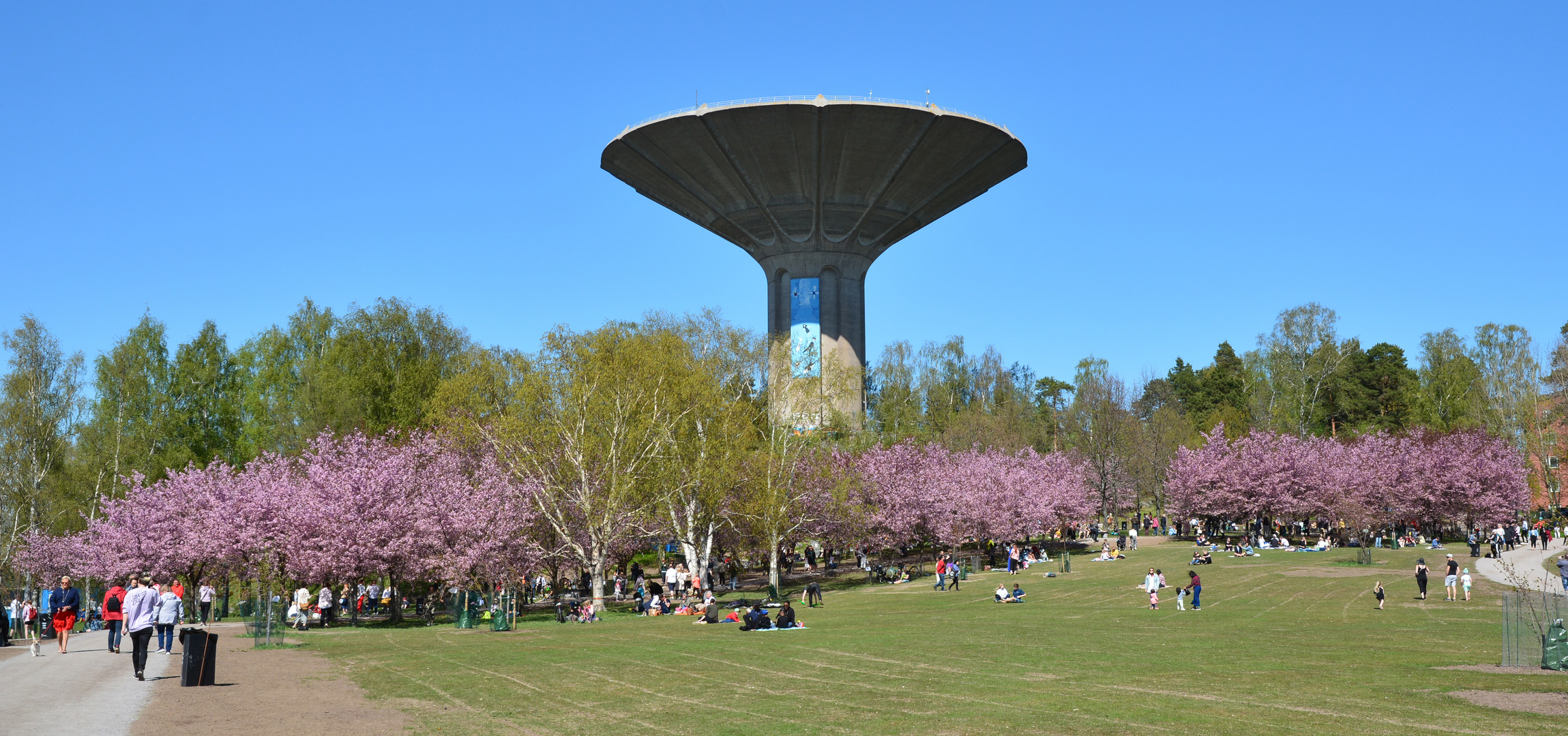 Helsinki, Roihuvuori, Cherry park