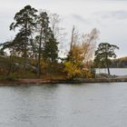 Helsinki, Seurasaari