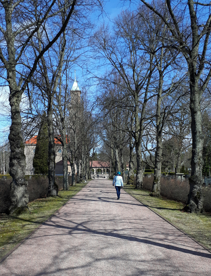 Helsinki, The avenue of Hietaniemi