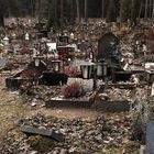 Helsinki, The cemetery for the pets