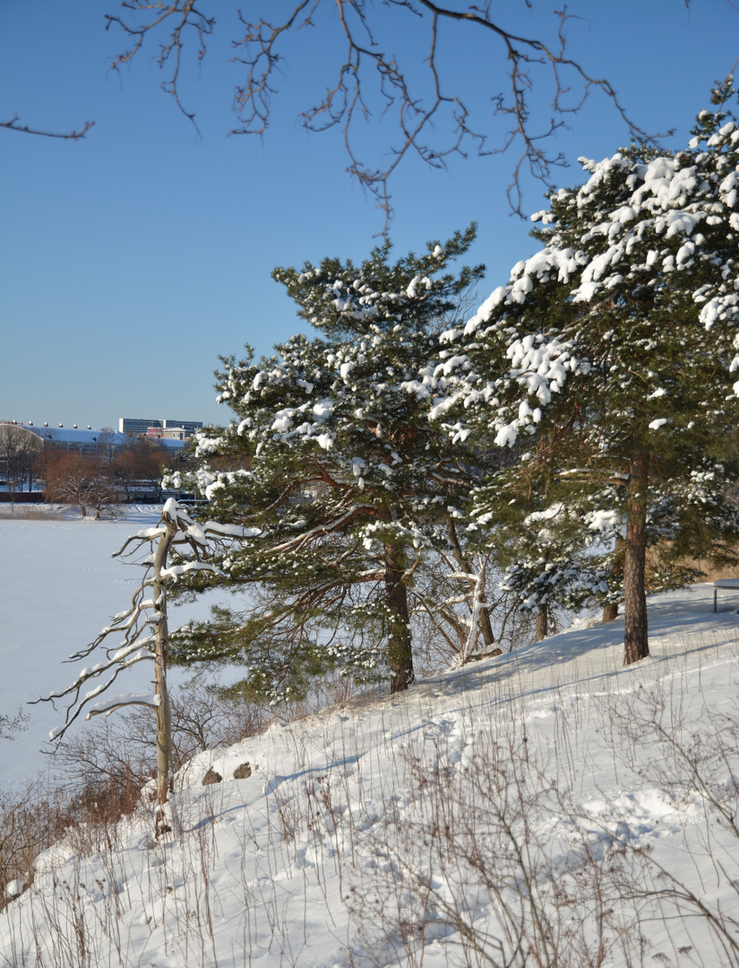 Helsinki, the coast of Töölönlahti