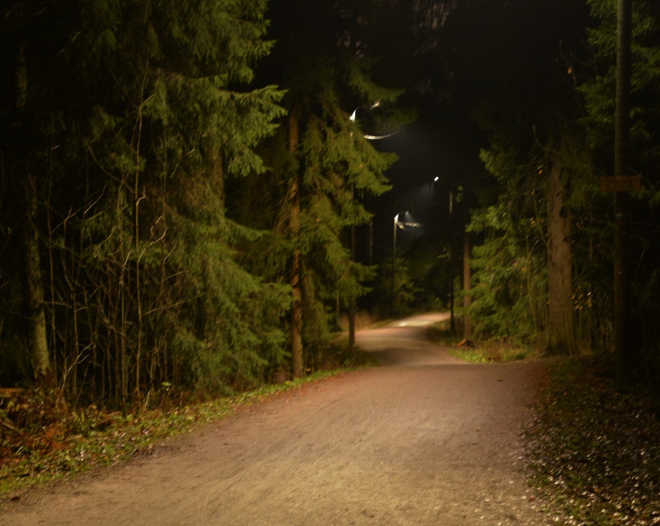 Helsinki, The forestway in the evening