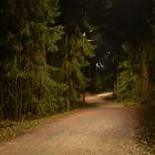 Helsinki, The forestway in the evening