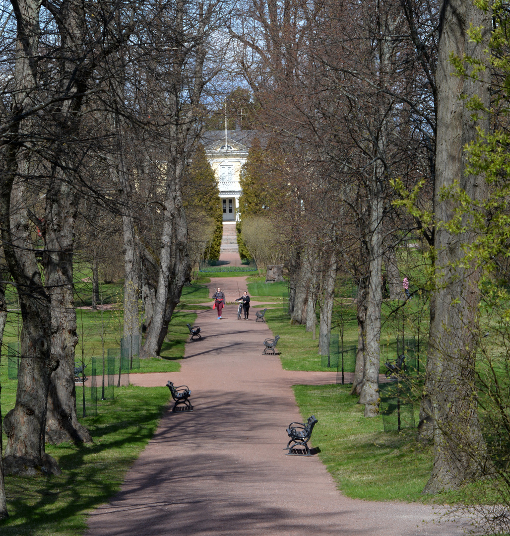 Helsinki, the park alley on the park of Herttoniemi estate