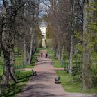 Helsinki, the park alley on the park of Herttoniemi estate