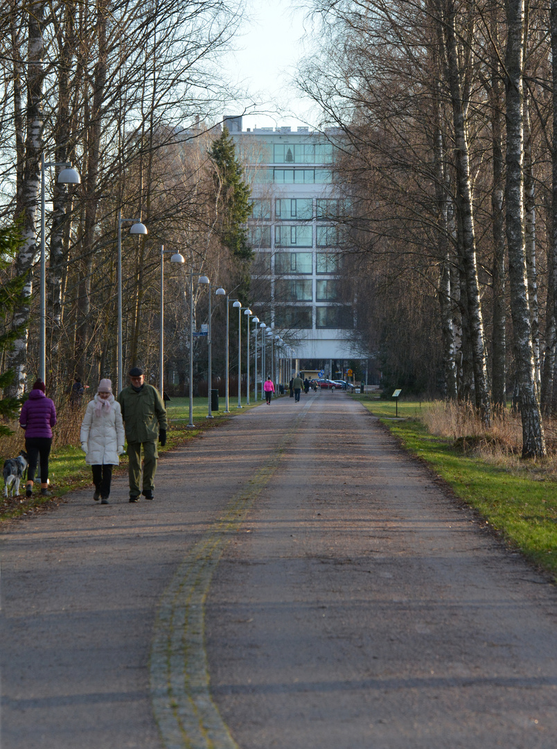 Helsinki, The park way on Munkkiniemi