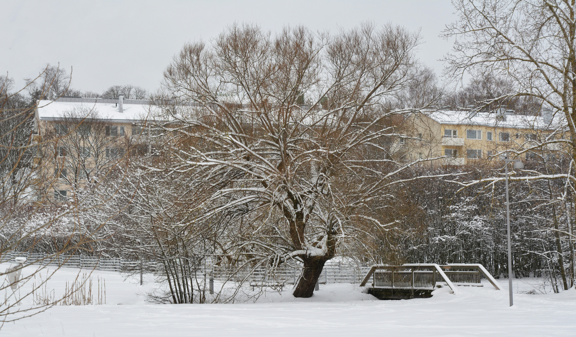 Helsinki, The wintry park