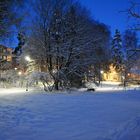 Helsinki, The wintry park on Haaga