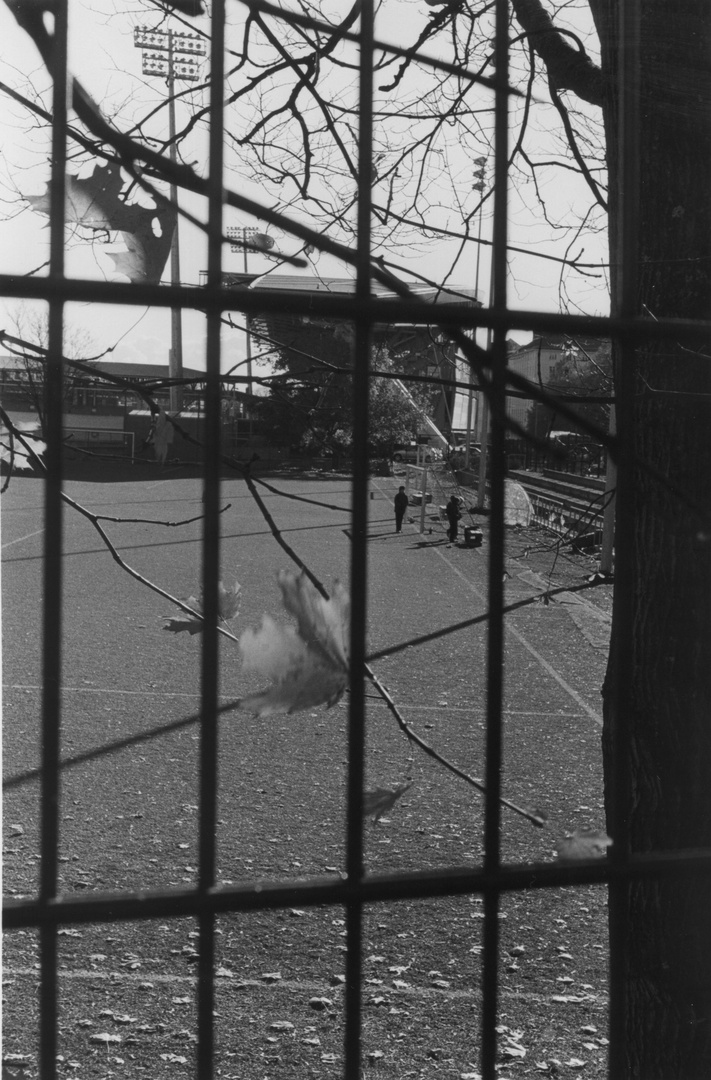 Helsinki, Töölö ball field, October 2010