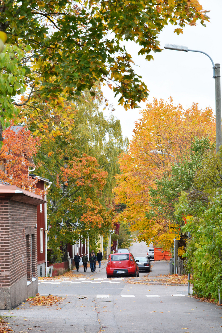 Helsinki, Toukola, street scene