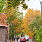 Helsinki, Toukola, street scene