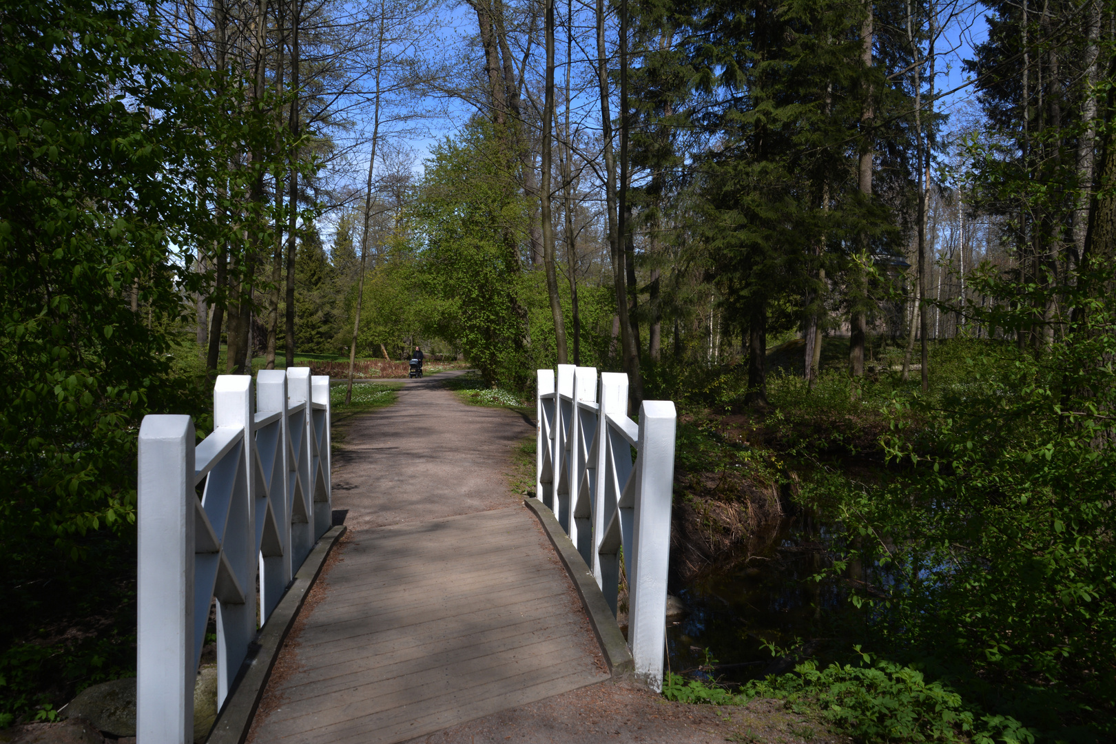 Helsinki. walkingbridge on the park