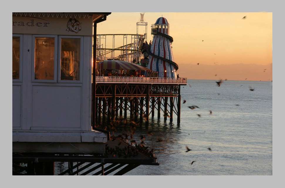 Helter skelter and starlings