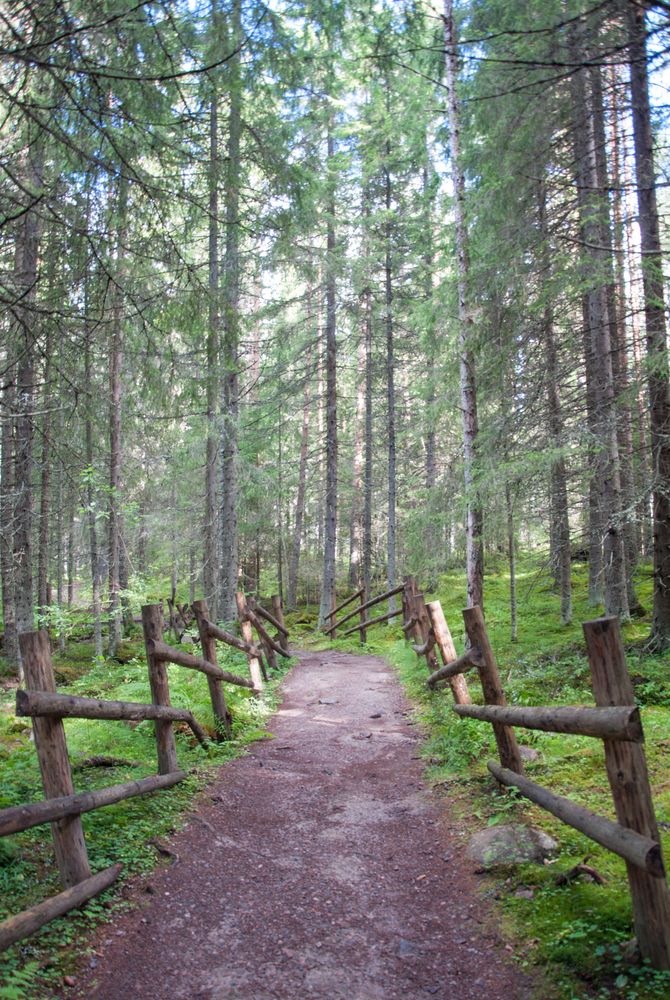 Helvettnjärvi Nationalpark Finland