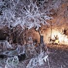 Hely - Park - Raureif Nachtstimmung im Goldlicht