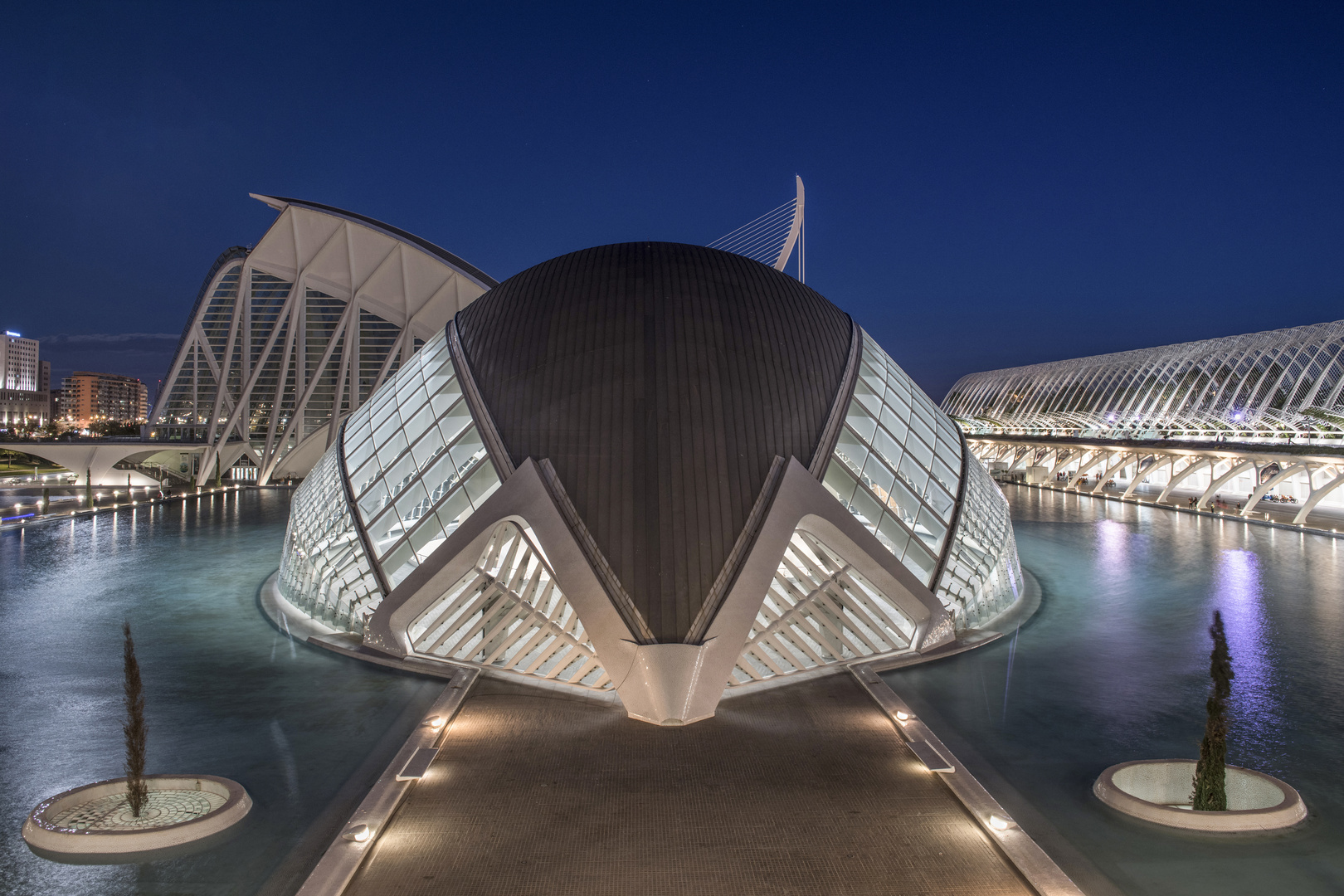 Hemisphäre von Calatrava, Architekt