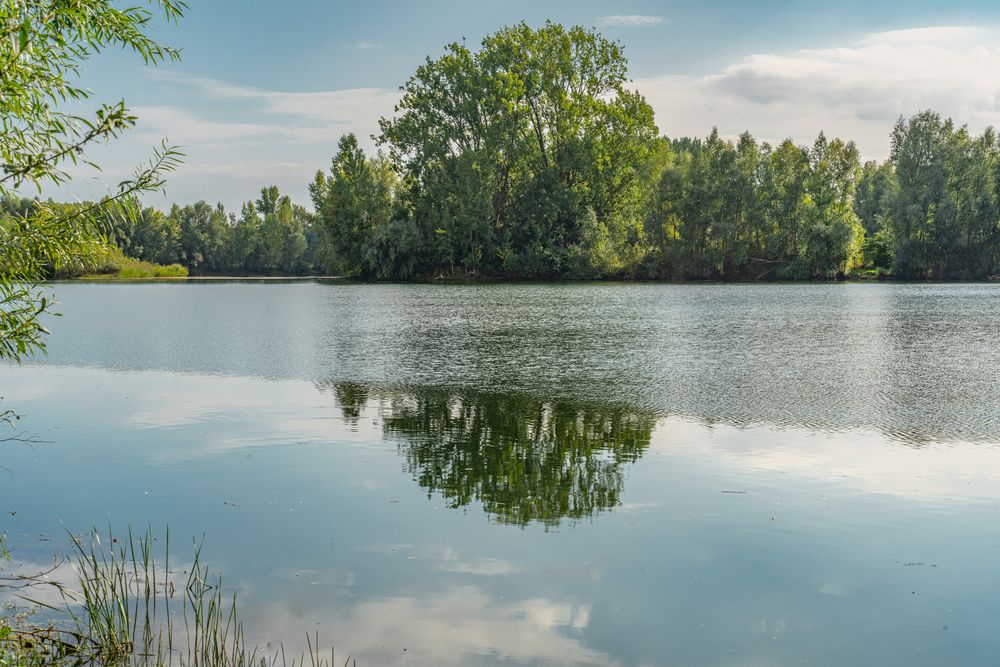 HemmingenWesterfeld I bei Hannover Foto & Bild landschaft, bach