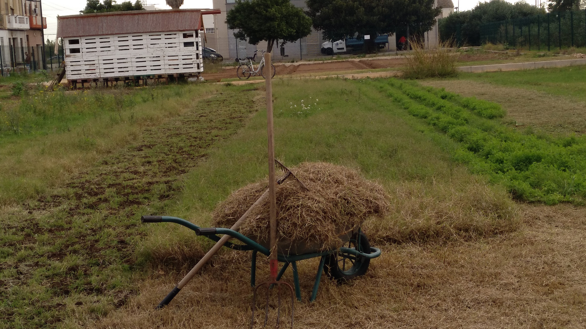 Hemos de l' Horta 