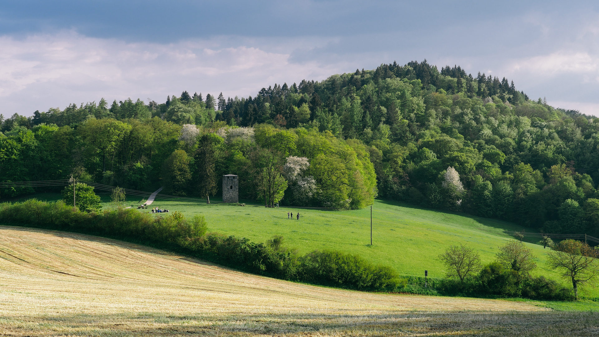 Hemsbach Bergstraße am Waldnerturm 2016