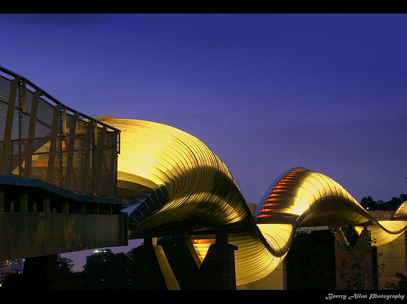 Henderson Wave Bridge at Dusk