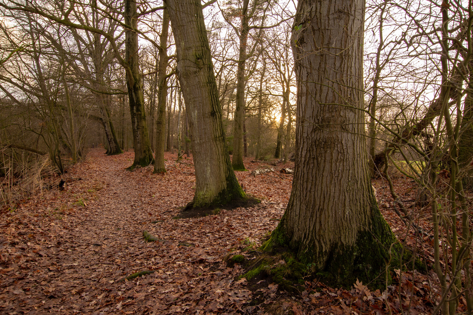 Hengelo - Lonnekermeer - 02