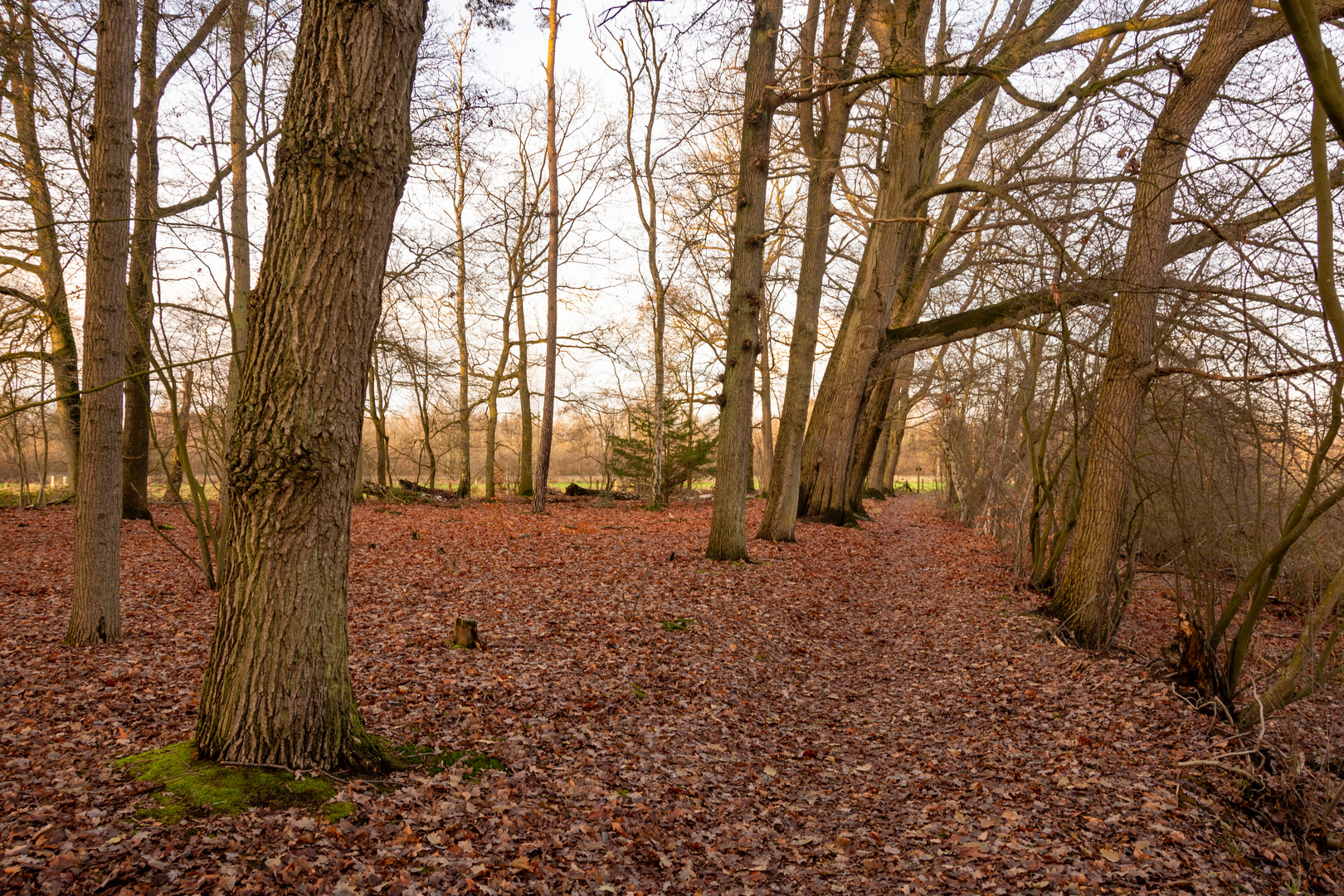 Hengelo - Lonnekermeer - 06