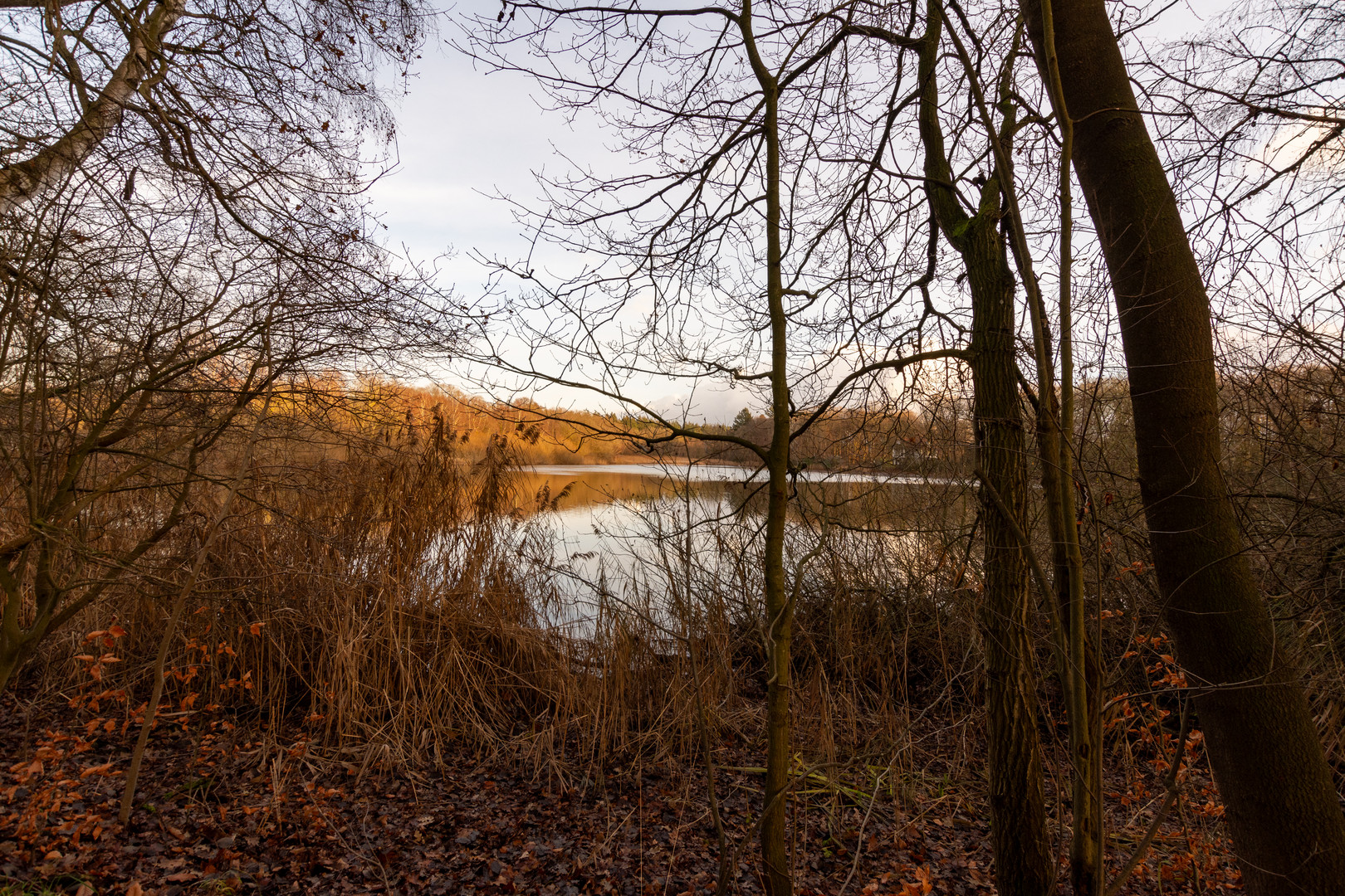 Hengelo - Lonnekermeer - 08