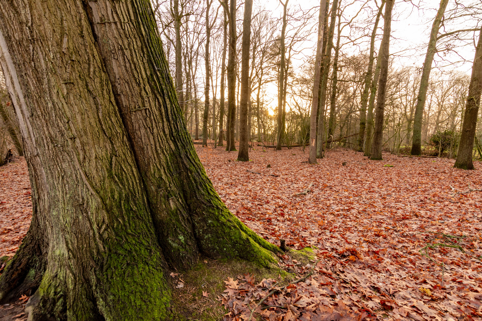 Hengelo - Lonnekermeer - 09