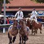 Hengstparade 2 Warendorf 2012