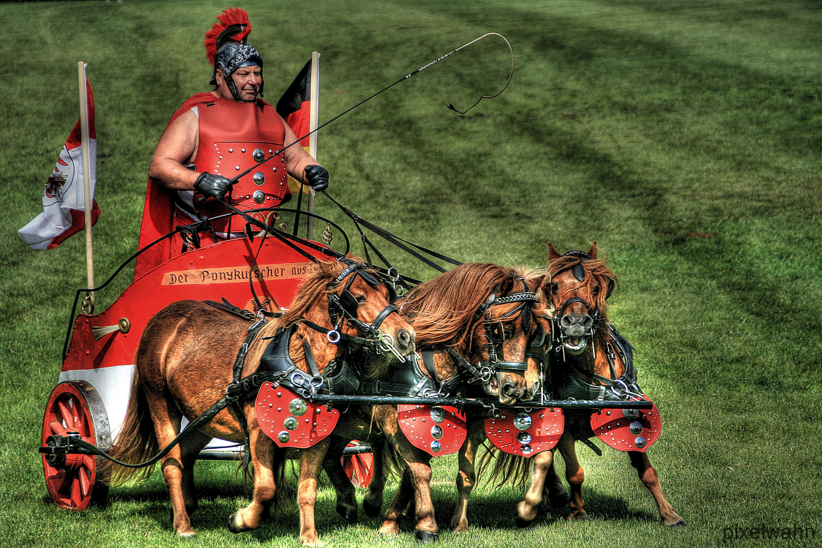 Hengstparade 2012 - Neustadt ( Dosse )