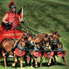 Hengstparade 2012 - Neustadt ( Dosse )