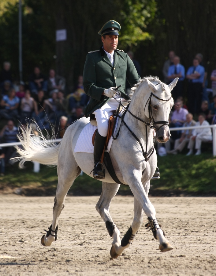 Hengstparade Dillenburg