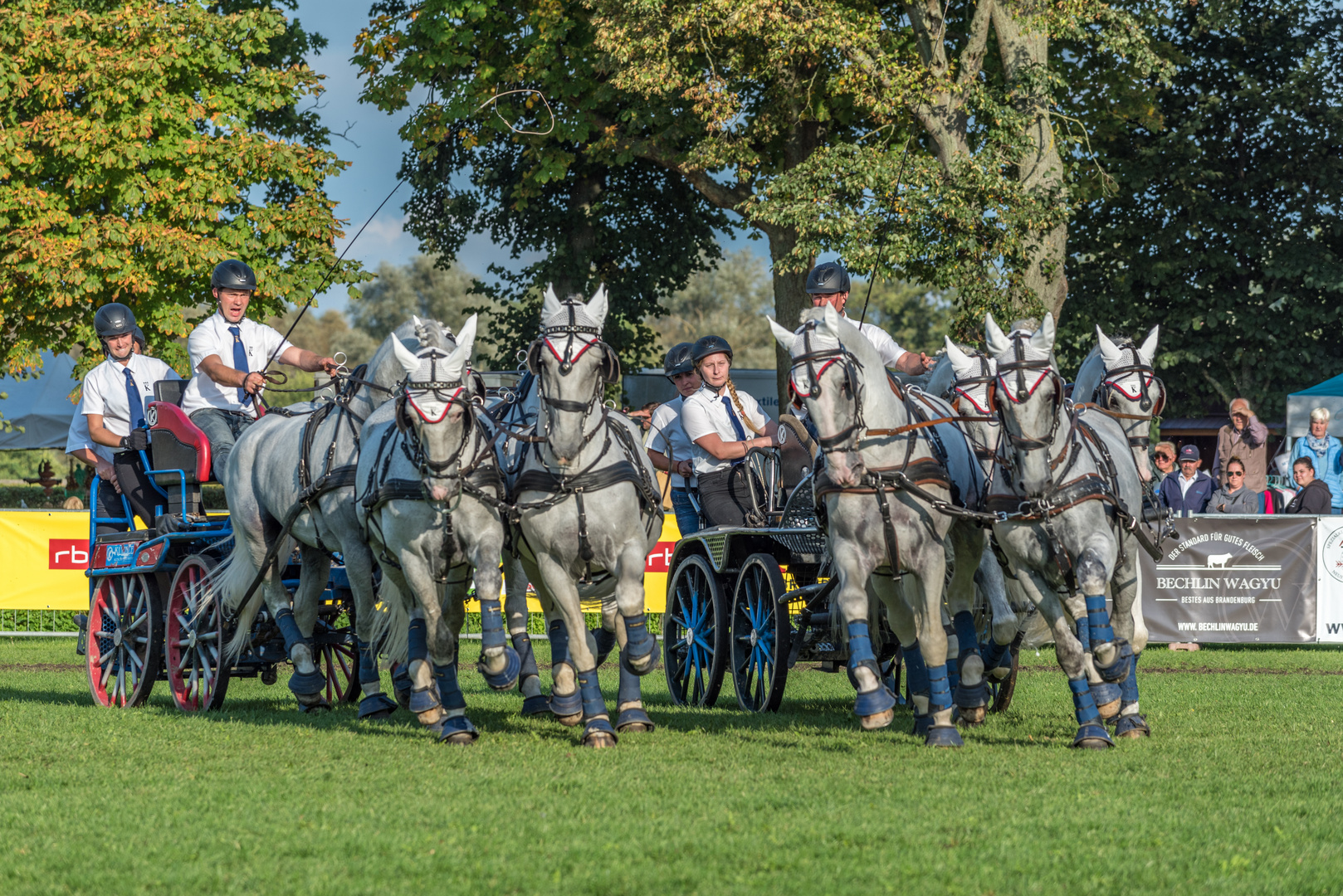 Hengstparade Gestüt Neustadt / Dosse 